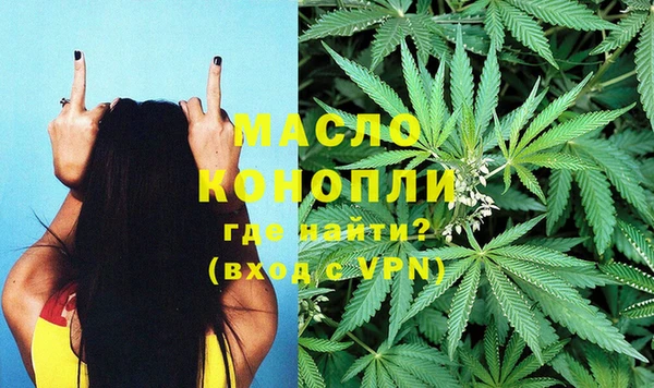 дмт Алексин
