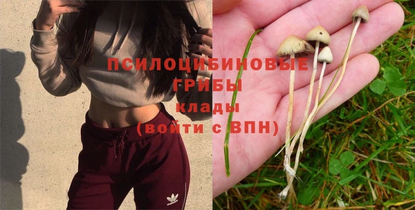 ECSTASY Алзамай