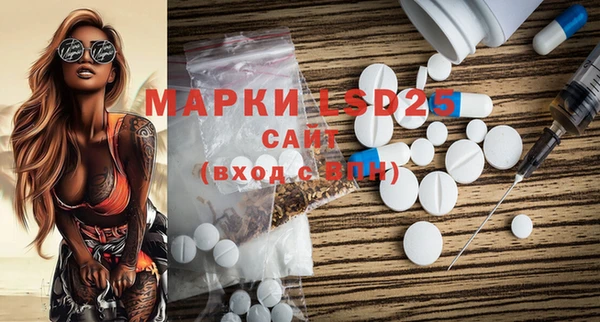ECSTASY Алзамай