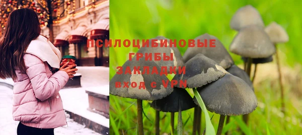 дмт Алексин