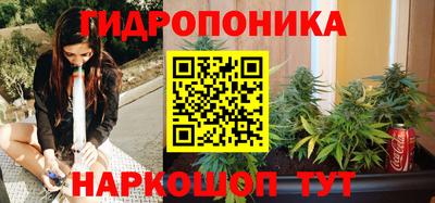 СК Анапа