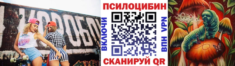 Псилоцибиновые грибы Psilocybine cubensis  наркошоп  Ачинск 